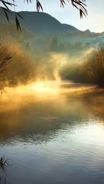 Eres un ser divino, viviendo una experiencia humana. Puedes elegir a cada segundo, la vida que quieres vivir. Feliz domingo de resurrección. #imagenesparasanar #yeshua #mothermary #loveyourself #iam