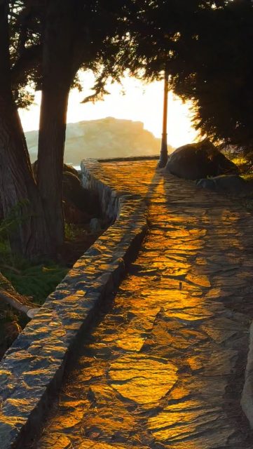 Siempre puedes elegir el Amor. Ahí comienza tu libertad. #imagenesparasanar #yosoy #yeshua #mothermary #saintgermain