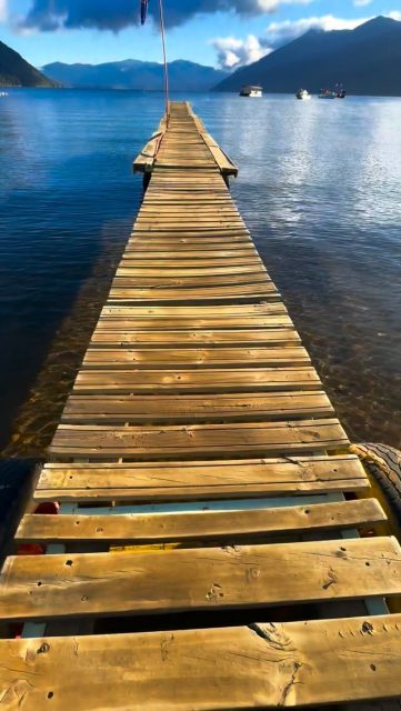 No puedes recibir lo nuevo, si sigues llena de lo mismo. Cambiar de estado, es dejar espacio para lo que viene. Te abrazo hoy. Todos somos uno, y juntos hacemos este gran y hermoso bosque. #imagenesparasanar #loveyourself #yeshua #mothermary #saintgermain