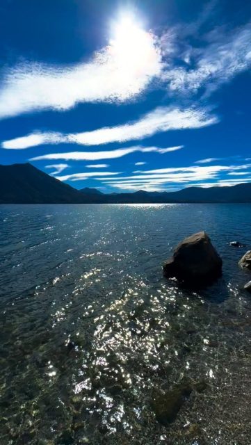 No todo lo que sientes necesita solución inmediata. Respira tu proceso con amor. Te abrazo hoy. Todos somos uno, y juntos hacemos este gran y hermoso bosque. #imagenesparasanar #loveyourself #yeshua #mothermary #saintgermain