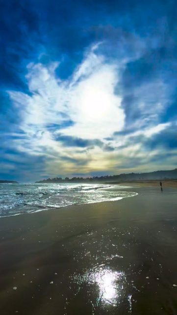 Algo en ti ya cumplió su ciclo. Déjalo volar. El universo constantemente se ordena a sí mismo. Abre tu corazón, y permite que el cambio ocurra. Te abrazo hoy. Todos somos uno, y juntos hacemos este gran y hermoso bosque. #imagenesparasanar #iam #yeshua #mothermary #saintgermain