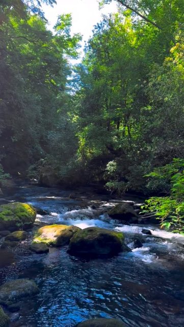 Hay un momento en que te das cuenta que no necesitas seguir buscando más lejos. Que el camino no era convertirse en alguien distinto, sino que en dejar de alejarse de tu verdadero ser. Bienvenid@ a la libertad de ser tu mism@. Te abrazo hoy. Todos somos uno y juntos hacemos este gran y hermoso bosque. #imagenesparasanar #loveyourself #yeshua #mothermary #saintgermain