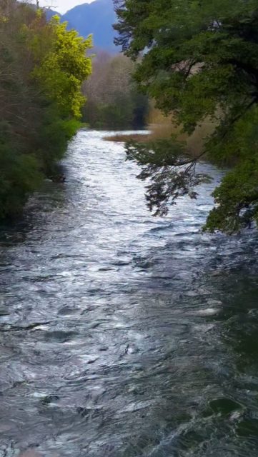 A veces el amor usa a otra persona para mostrarte el lugar donde dejaste de habitarte.
Por eso, algunas despedidas terminan convirtiéndose en un encuentro.
Te abrazo hoy. Todos somos uno, y juntos hacemos este gran y hermoso bosque. #imagenesparasanar #loveyourself #yeshua #mothermary #saintgermain