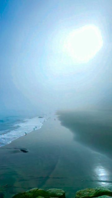 El despertar nunca debiera hacerte sentir más importante. Debiera hacerte sentir más humano. Cuanto más despiertas, menos especial te sientes, porque empiezas a reconocer la misma luz en todos.
te abrazo hoy. Todos somos uno, y juntos hacemos este gran y hermoso bosque. #imagenesparasanar #loveyourself #yeshua #mothermary #saintgermain