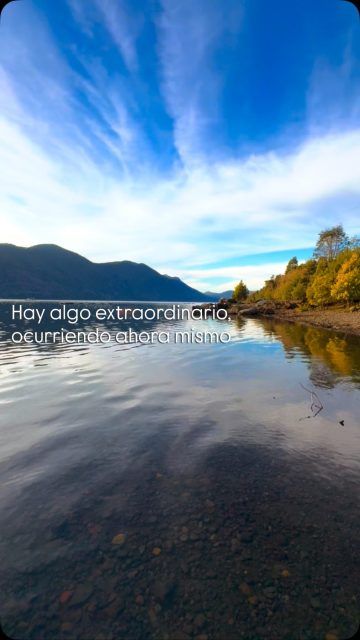 Hoy es el mejor día de tu vida. Del milagro de estar viv@.
Te abrazo hoy. Todos somos uno, y juntos hacemos este gran y hermoso bosque. #imagenesparasanar #yeshua #mothermary #adrianademalloco #saintgermain