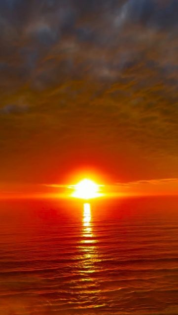 Te dejo un pequeño pero profundo ejercicio de conexión contigo.
Recuerda repetirlo durante el día.
Es simple. Y profundo.
Te abrazo hoy. Todos somos uno, y juntos hacemos este gran y hermoso bosque #imagenesparasanar #meditation #yeshua #mothermary #saintgermain